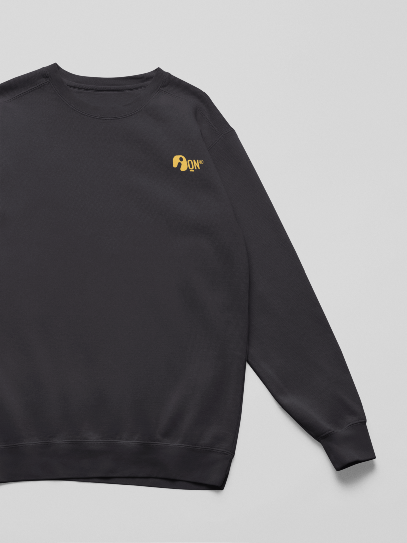 Sudadera infantil sostenible – ANDAQUENÓ® Kids
