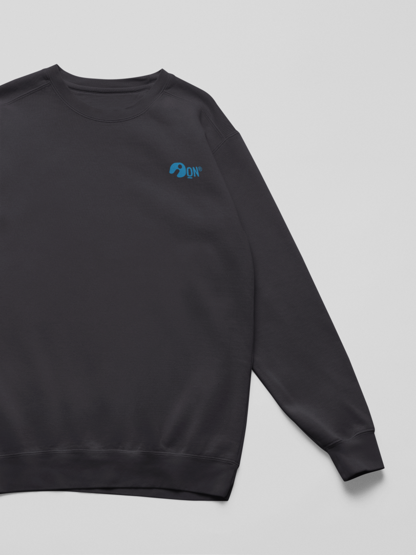 Sudadera infantil sostenible – ANDAQUENÓ® Kids