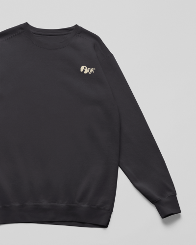 Sudadera infantil sostenible – ANDAQUENÓ® Kids