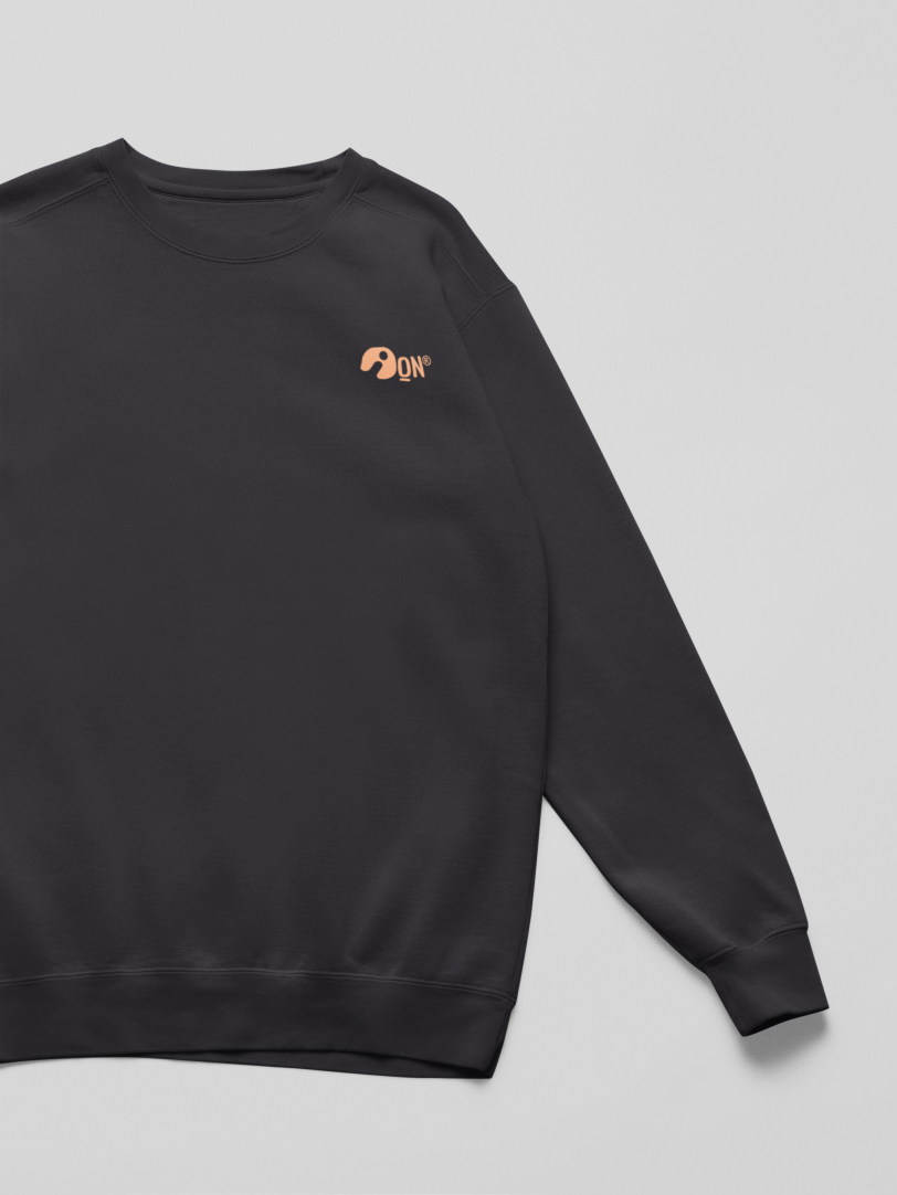 Sudadera infantil sostenible – ANDAQUENÓ® Kids