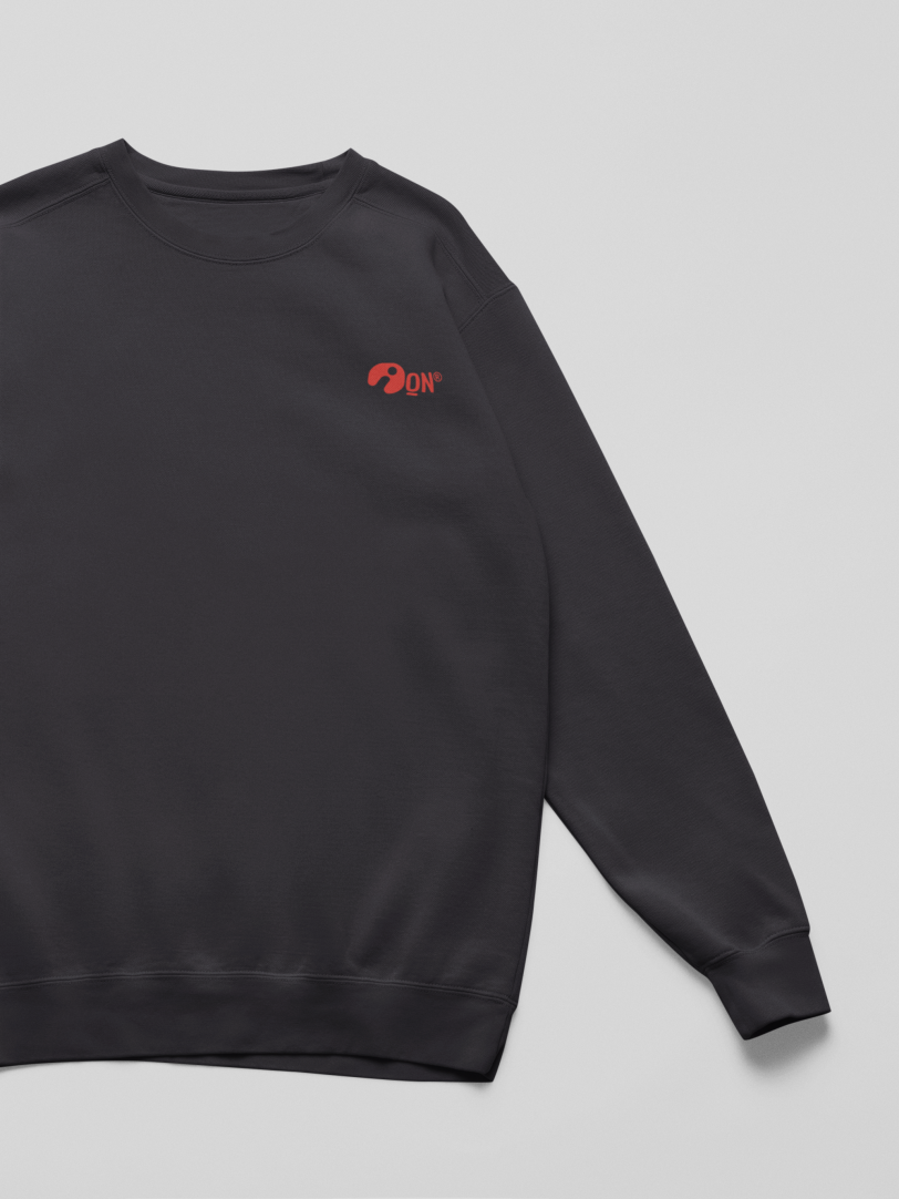 Sudadera infantil sostenible – ANDAQUENÓ® Kids