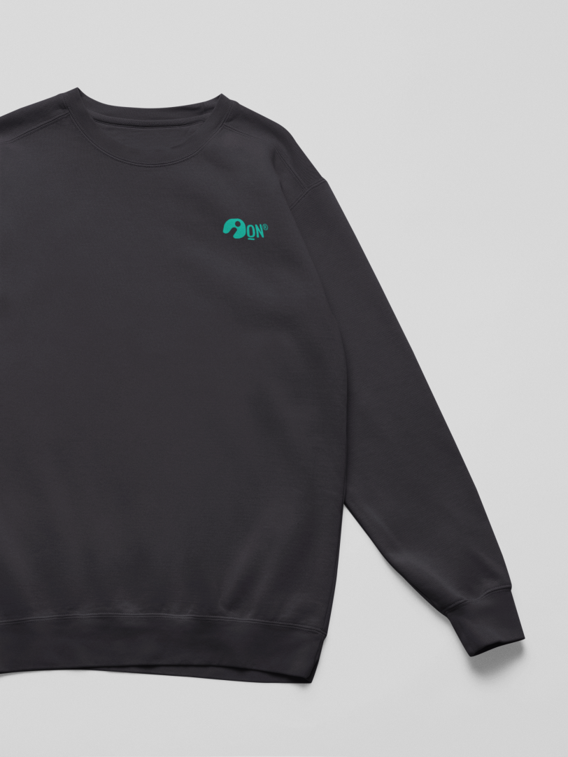 Sudadera infantil sostenible – ANDAQUENÓ® Kids