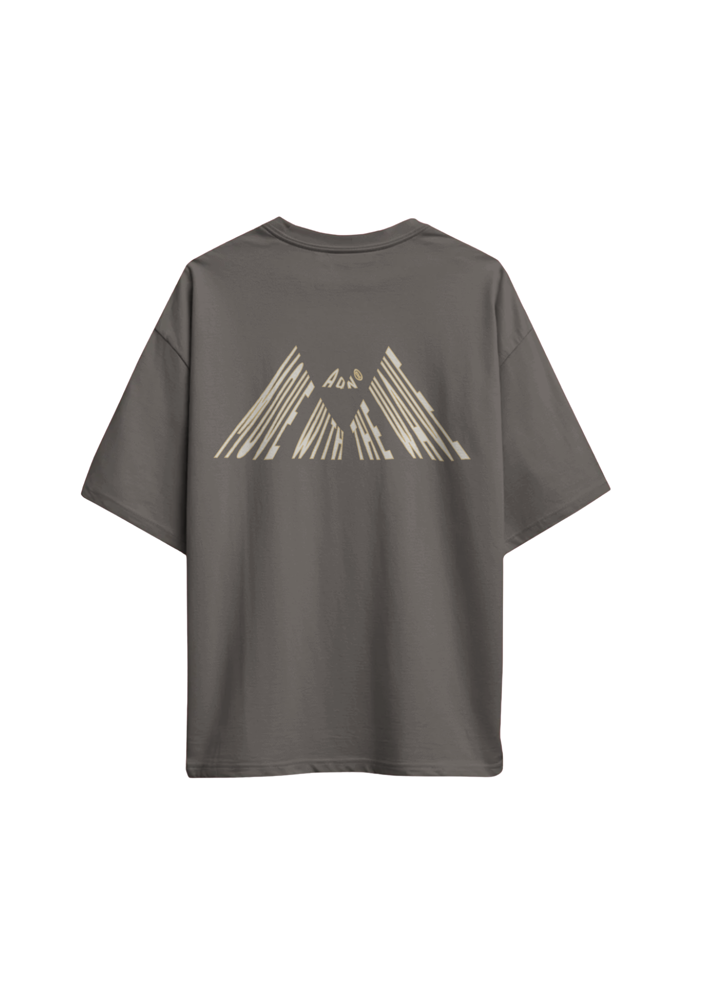 Camiseta Oversize FIT de manga corta · 100% algodón orgánico · 240 g – Edición Limitada ⭐️ - Imagen 3